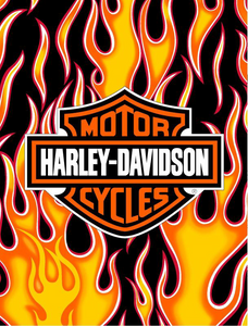 Couverte " Harley flames" pour lit queen et double